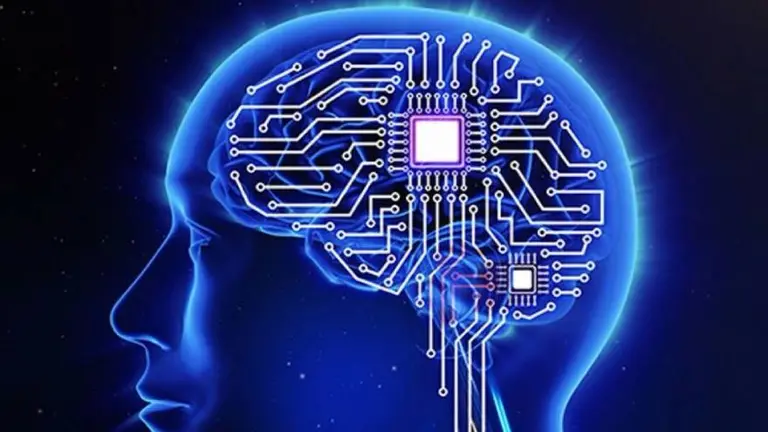 Video: por primera vez un hombre cuadripléjico logra escribir 90 caracteres con el pensamiento