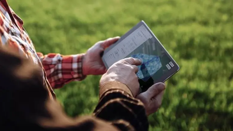 Internet de las cosas: el plan de Microsoft para que crezca en el agro argentino