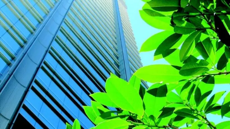 Este es el primer banco argentino que se une a la lucha contra emisiones de gases de efecto invernadero