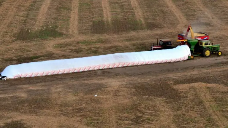 Se lanza Agripay: así es la "billetera inteligente" argentina enfocada en el canje y pago con granos