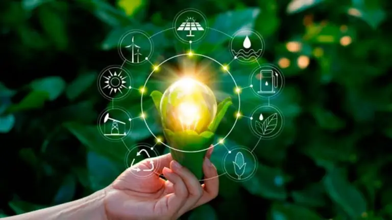 ¿Por qué este gigante financiero renueva su línea de financiamiento para Empresas de Triple Impacto?