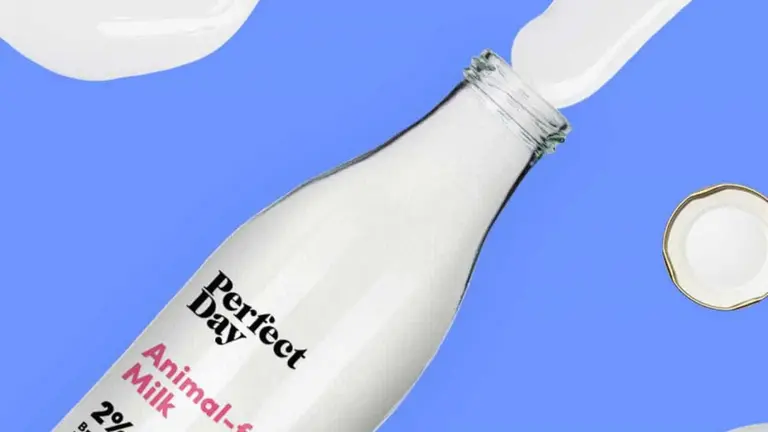 La startup que crea leche 'real' sin vacas se lanza a vender quesos y hasta helados