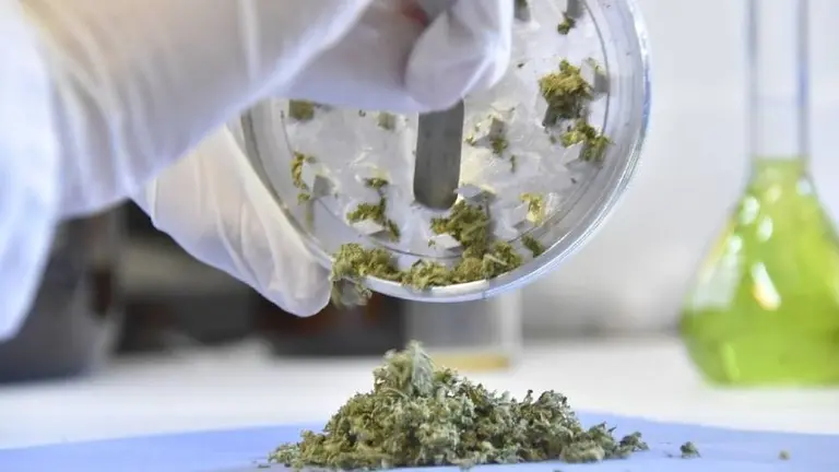 El holding de cannabis de Garretón recibe una inversión millonaria: ¿a qué mercados se expandirá?