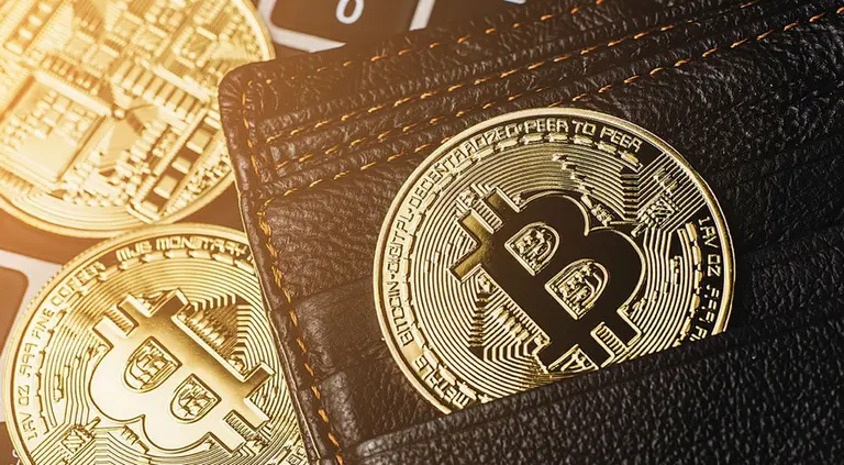 Temporada de "descuentos": este gigante aprovecha la baja y compra 1.400 Bitcoins