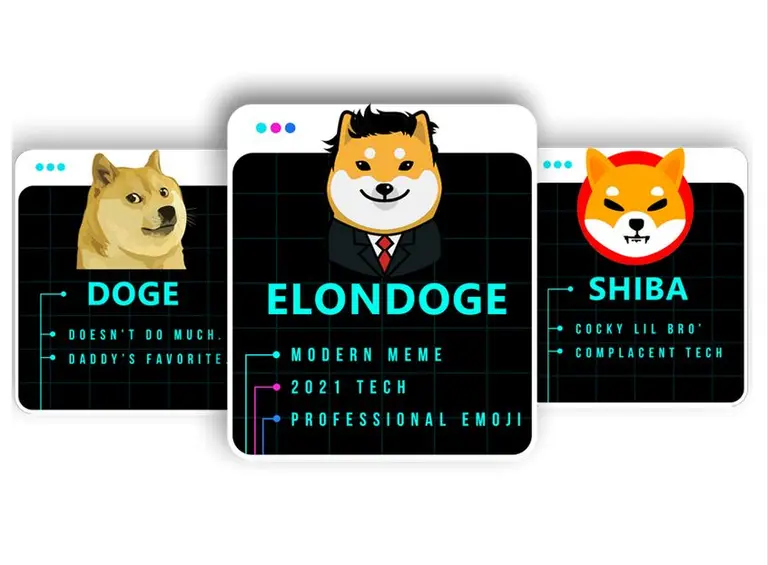 Esta criptomoneda subió 3.000% en unas horas y luego se desplomó: los riesgos de las "Meme Coins"