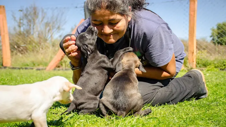 Solidaridad: ahora, gracias a Tiendanube, podrás adoptar animales, cómo hacerlo