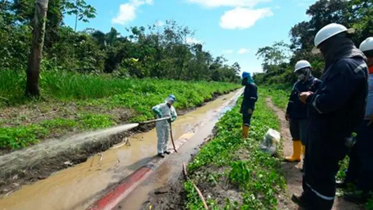 Emprendedores argentinos lanzan NFTs para remediación ambiental: dónde y cuándo se pueden comprar