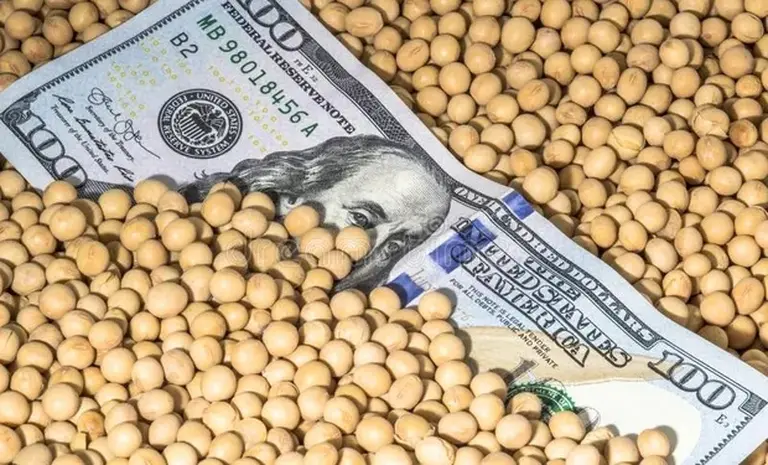 Dudas sobre el Dólar Soja 2.0: ¿puede producirse una corrida contra el peso cuando termine?
