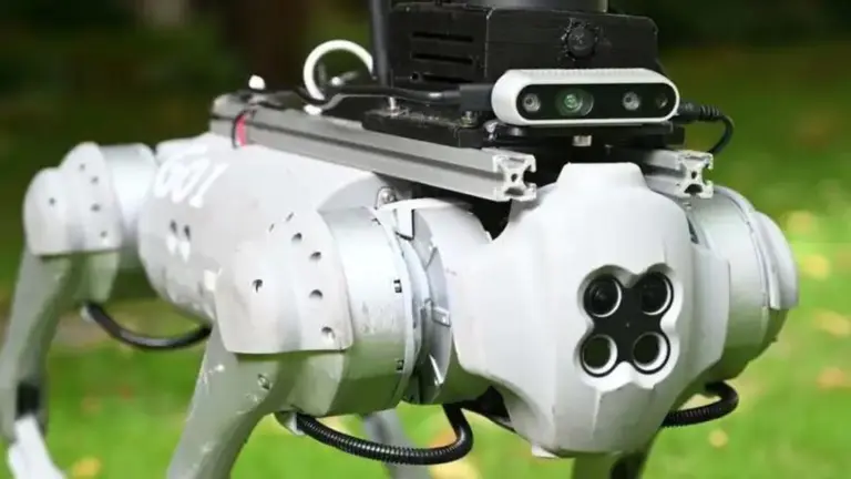 Conocé a Tefi: el perro robot que ayuda a personas con discapacidad