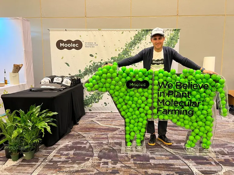 Subieron las fusiones, combinaciones y ventas de empresas este año en la Argentina