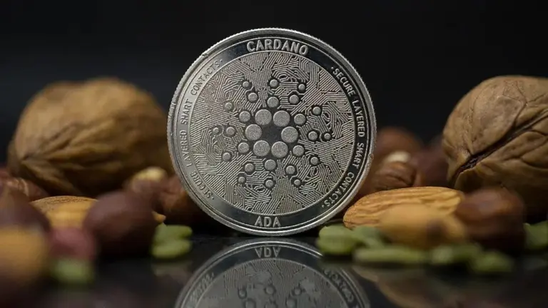 Cardano sale a la carga contra XRP y promete destronar a Ripple en pagos internacionales