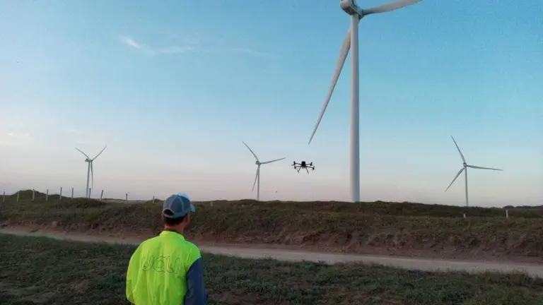 Paso a paso: cómo pueden las empresas involucrarse en la lucha contra el cambio climático