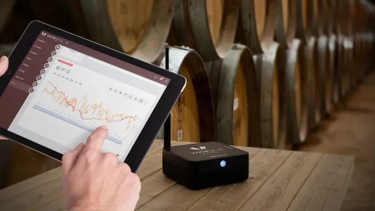 Vinificación 2.0: cómo la inteligencia artificial transforma las bodegas en la Argentina