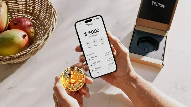 Empresas cripto bajo la lupa: 35 registradas, sanciones para las no inscriptas