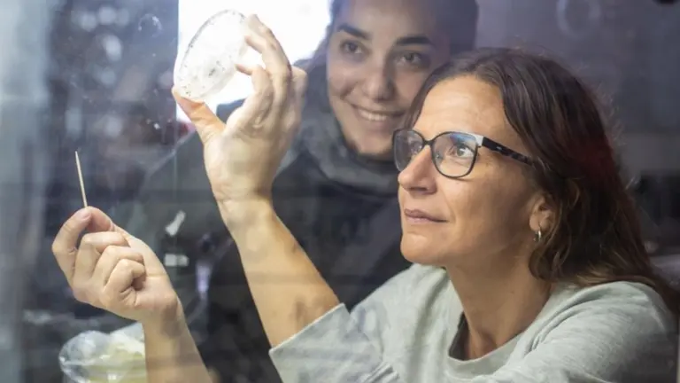 Es argentina y descubrió la clave contra el calentamiento global: busca revolucionar un mercado de u$s9.000 millones