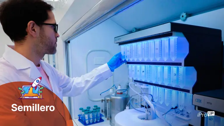 Un proyecto argentino de biotecnología busca crear antibióticos alternativos para combatir bacterias