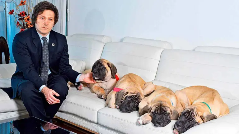 Seguidores de Milei lanzan la criptomoneda de Conan y una "Wikipedia libertaria"