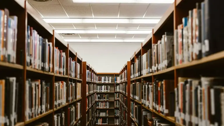 Bitcoin llega a las instituciones educativas: conocé la universidad que invirtió millones en un ETF