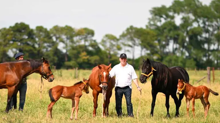 Orgullo argentino: Una biotech desarrolló los primeros caballos diseñados genéticamente en el mundo