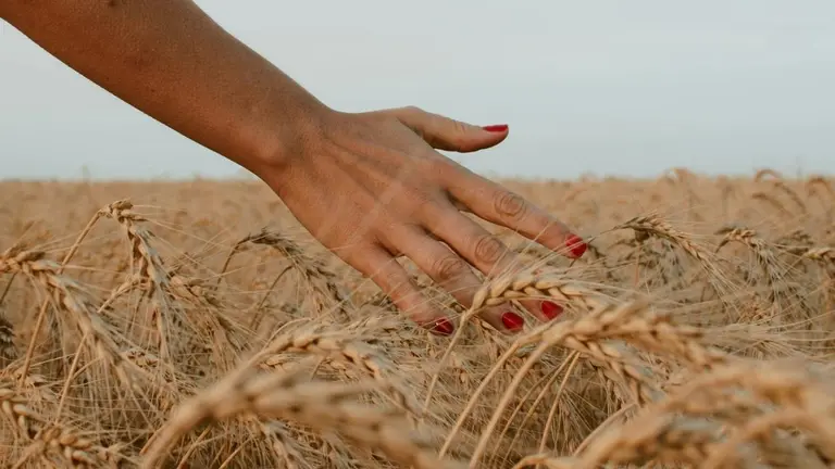 Bioceres: cómo invertir en la biotecnológica argentina y por qué su CEDEAR puede explotar