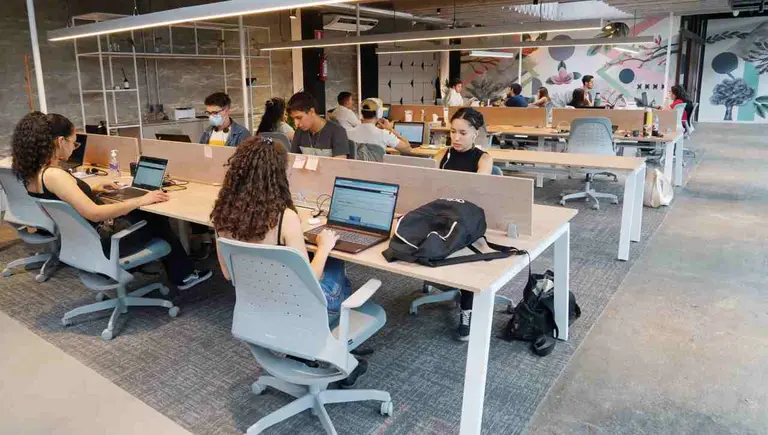 Arbusta, la empresa argentina que ayuda a las empresas a transformar datos crudos en decisiones estratégicas