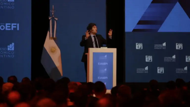 Javier Milei: "Los sanateros del tipo de cambio atrasado no comprenden la lógica del modelo"