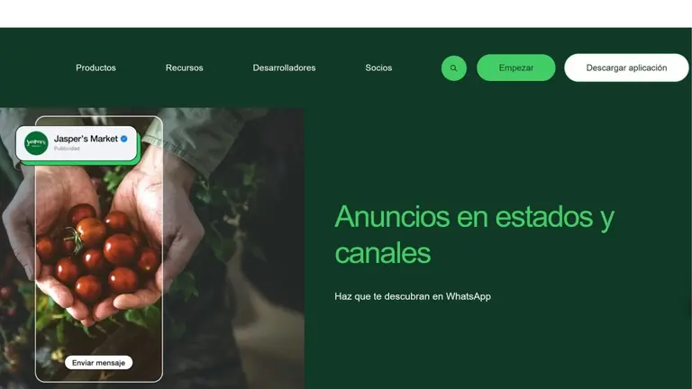 WhatsApp te ayuda ahora a encontrar más canales y empresas
