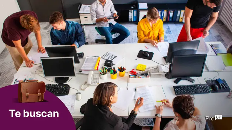 Consultora sale a contratar masivamente empleados por el Hot Sale: puestos más buscados y requisitos