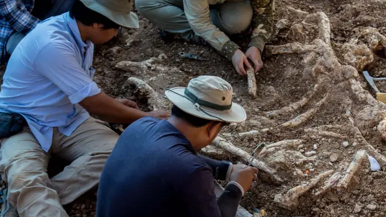 paleontólogos trabajando en tierra
