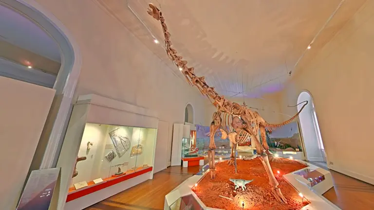 Google tendrá una versión virtual del museo de Brasil devastado por el fuego
