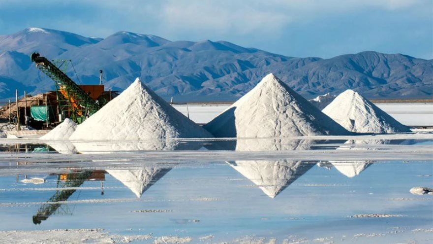 Japan seizes almost 50% of the lithium that leaves the country