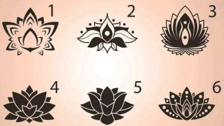 TEST ¿Qué flor de loto elegís?: esto dice de tu personalidad
