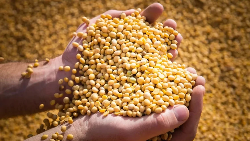 ¿Qué beneficios puede traer a Argentina la tokenización de commodities?