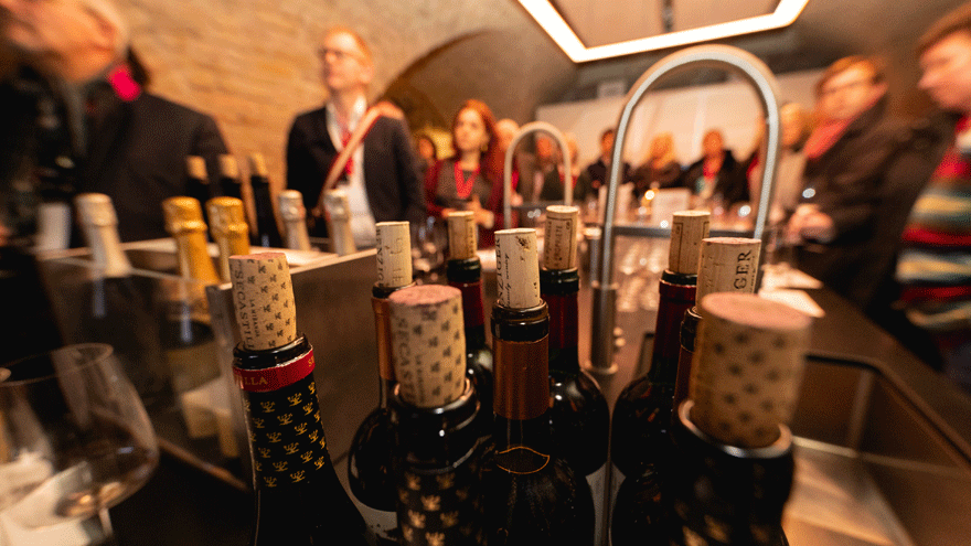 Vinos y cambio climático: por qué expertos alertan sobre el futuro de Pomerol y Champagne