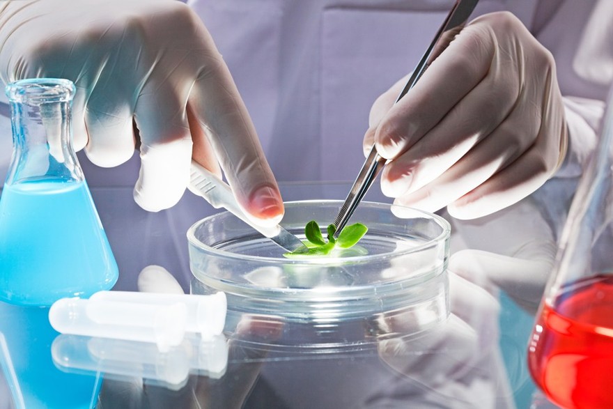 BioArgentina 2018: los emprendimientos del futuro juntos en un evento clave para la biotecnología