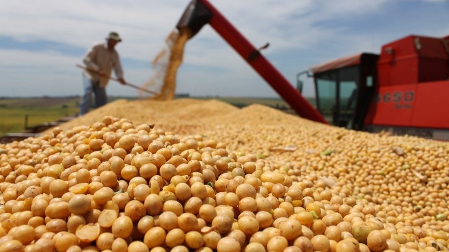 Expertos despejan las "zonas grises" en la implementación del Sistema de Información Simplificado Agrícola