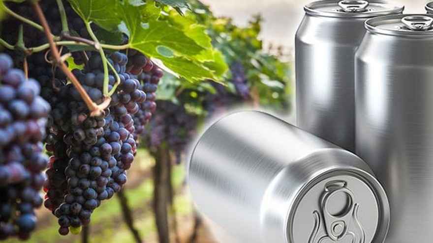 Los vinos llegan en nuevos formatos: tirados como la cerveza y hasta en latas