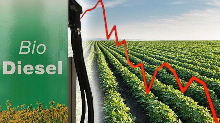 Grave crisis en sector biodiésel: el Gobierno les niega precio y hay alerta por suspensiones
