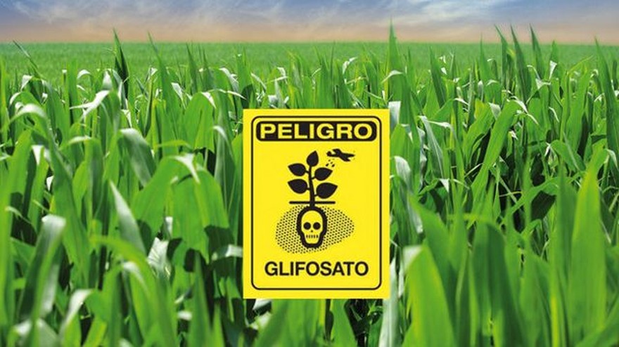Chubut es la primera provincia que prohíbe la comercialización y uso de glifosato