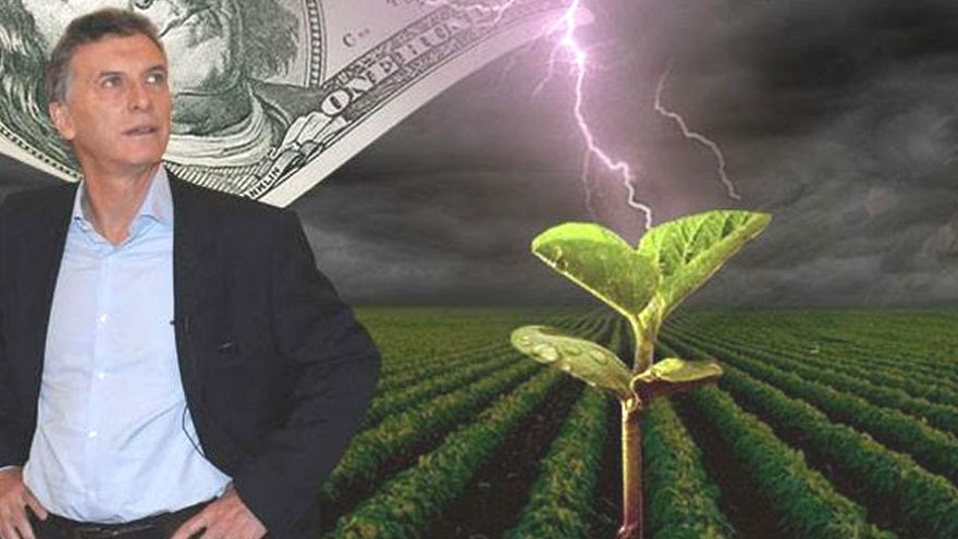Superávit agrio: crece por caída de importaciones y hay alerta por baja del precio de la soja