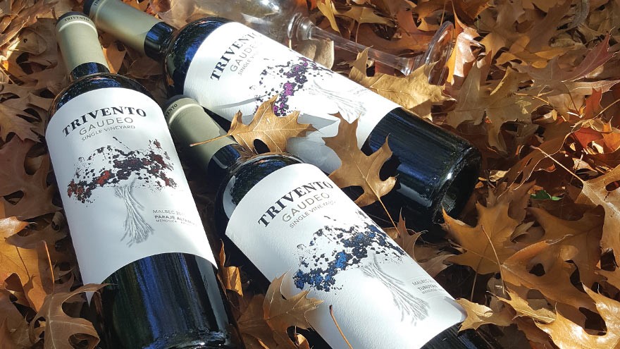 Vinos: nuevos Malbec que desafían a los incrédulos del terruño