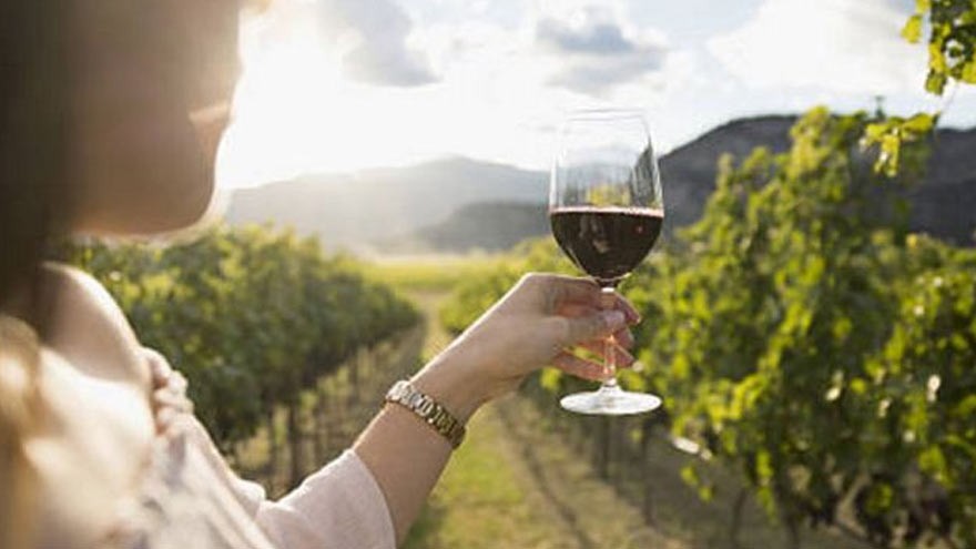 Vinos: la frescura estaba en Luján de Cuyo, sólo había que sacarle brillo