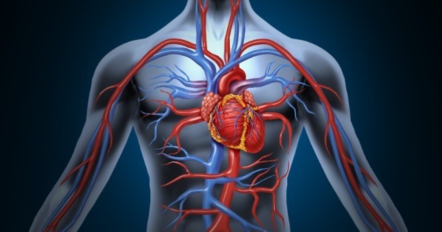 El diagnóstico de enfermedades arteriales es cada vez más fácil: cuál es el rol de la tecnología