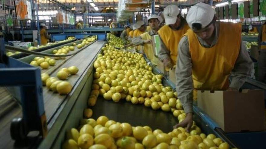 CAME celebró la baja de derechos a la exportación a productos de las economías regionales