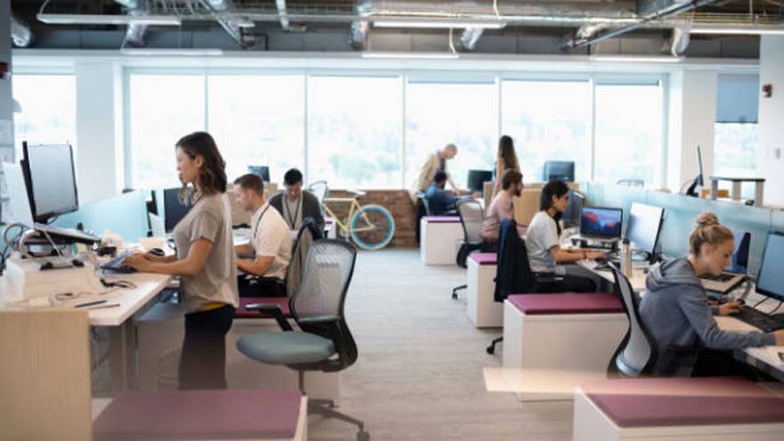 En qué empresas quieren trabajar los jóvenes profesionales argentinos