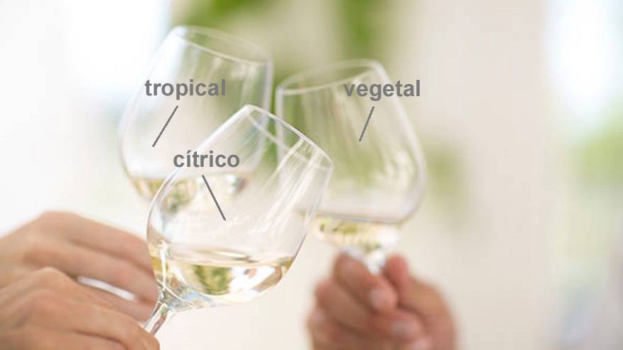 Vinos: así es la "guerra" de estilos en el universo del Sauvignon Blanc