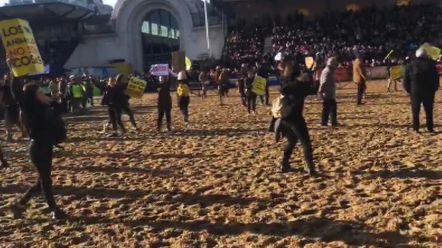 Video: veganos invadieron la pista de La Rural y los gauchos los sacaron a rebencazos