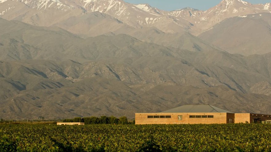Vinos y medioambiente: Finca Sophenia ya es bodega sustentable