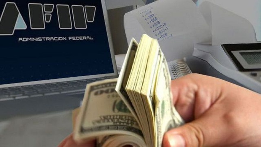 Cepo y compra de dólares: cuáles son los controles de la AFIP que se vienen