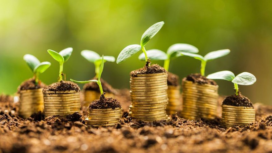 Para crecer necesitás inversión sostenible: ¿cómo prepararse para lo que viene?